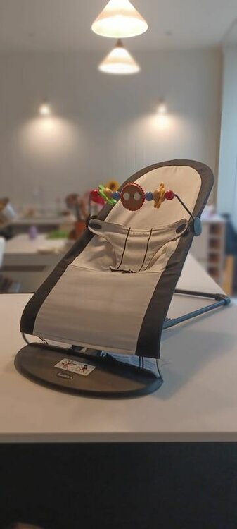 Babybouncer_1.thumb.jpg.9715195282bd369dbd94f781086c1ac0.jpg