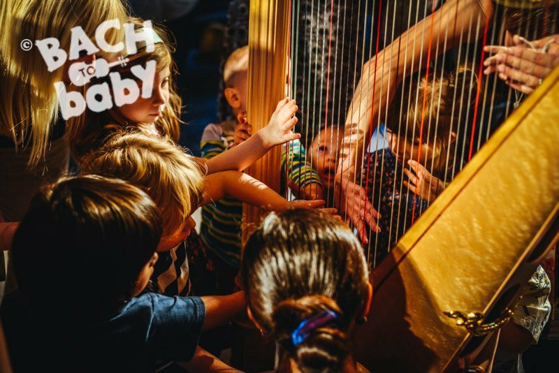 BachtoBaby2015-AlejandroTamagnophotographer-harp69watermark.jpg.41bb6db1e575bb676e95a76863d5f4a6.jpg