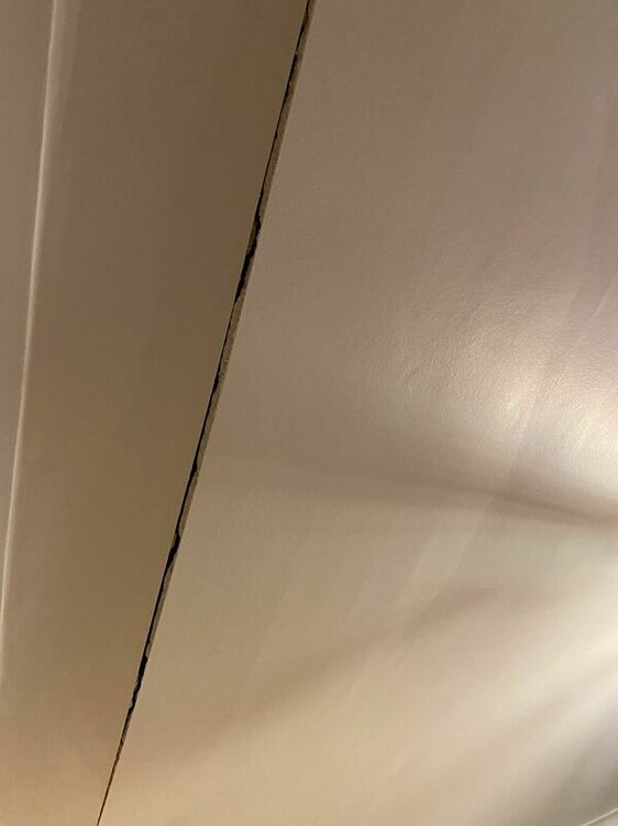 Ceiling1.thumb.jpg.f15410bb97f1862c66bbe6fa9fcb446e.jpg