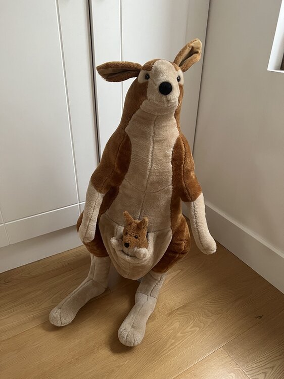 Kangaroo.thumb.jpg.fb05e7763dec1d6fac4719a62fa0448c.jpg