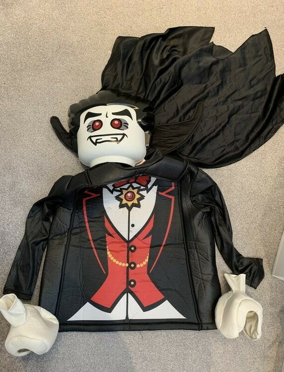 Legocostume.thumb.jpg.2bfae762d288da6f91f3c05caba5058a.jpg