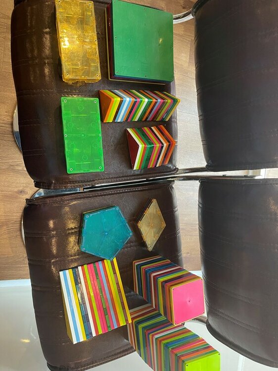 MagnaTiles2.thumb.jpg.7d6112e419fedac55b2b43e0fbea6c73.jpg