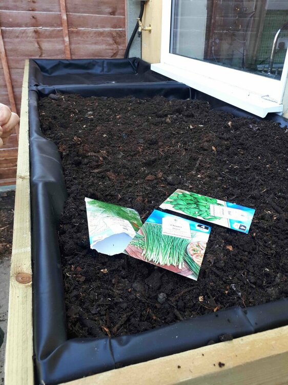 Space for growing above a heat pump.jpg