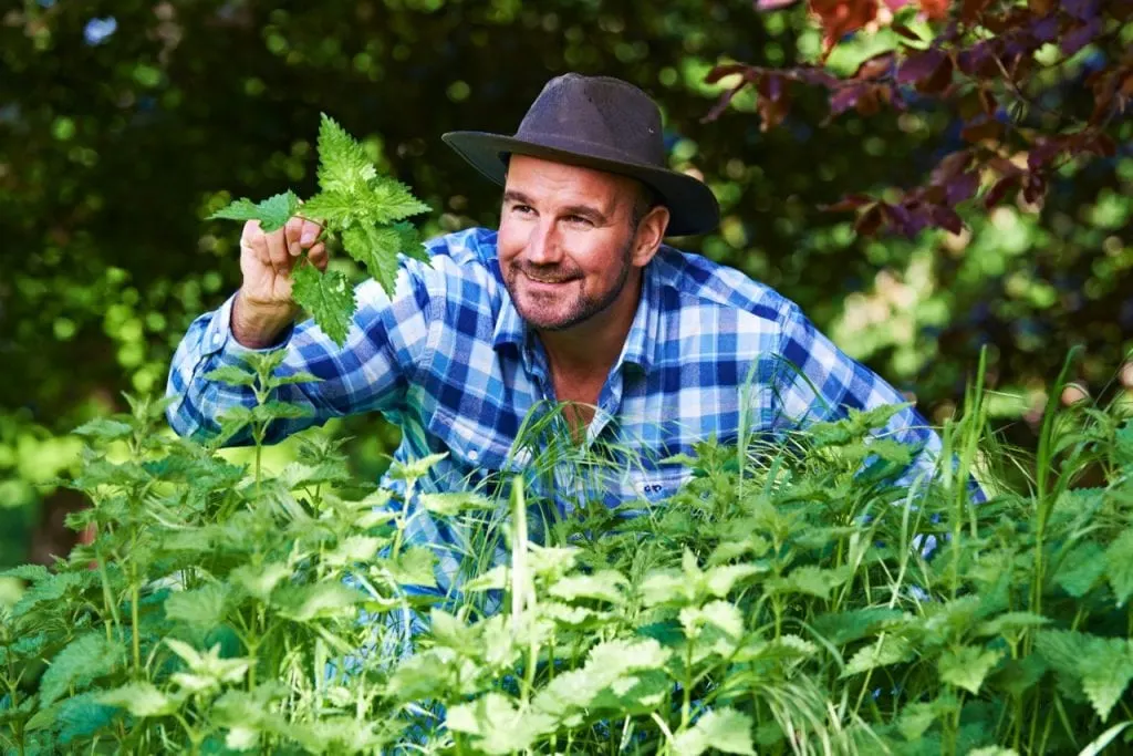 Village Books - Tristan Gooley: How to Read a Tree, Clues and Patterns from Roots to Leaves