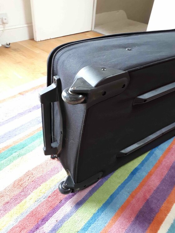 case with wheels.jpg