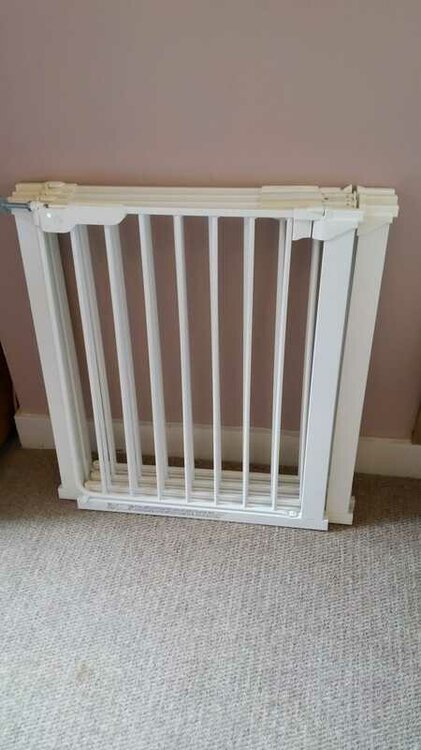 stair_gates.thumb.jpeg.53d2d6b2c90b09fa237875a61b6db7b0.jpeg