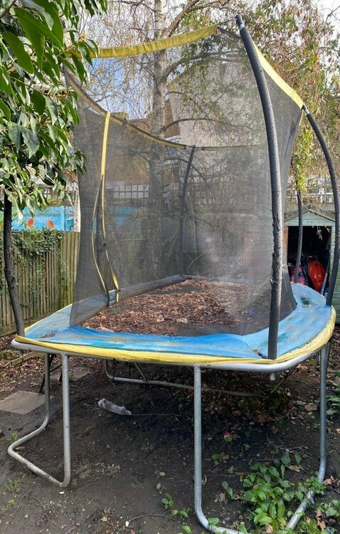 trampoline 2.jpg