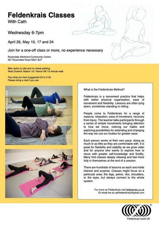 Cath Feldenkrais poster (1) copy.jpg
