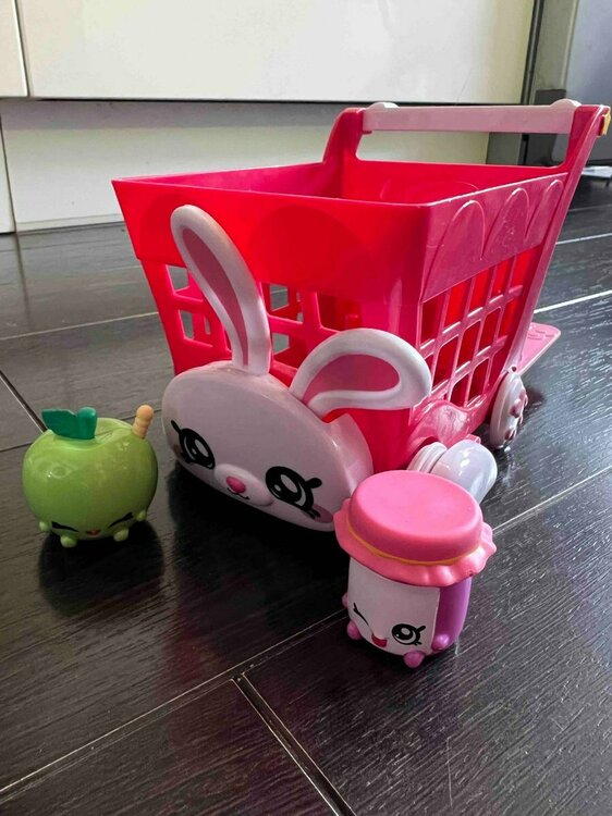 Kindi Kids Shopping Cart.jpg