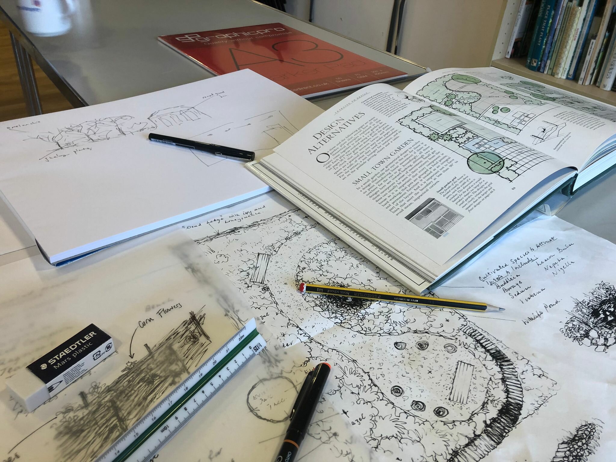 Garden Design for Beginners - 2-part workshop with London School of Horticulture