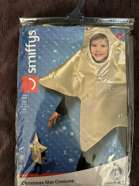 Christmas Star Costume.jpg