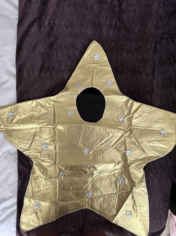 Christmas Star Costume2.jpg
