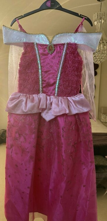 Disney Princess (2).jpg