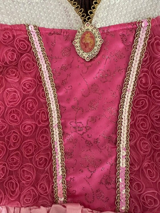 Disney Princess3.jpg