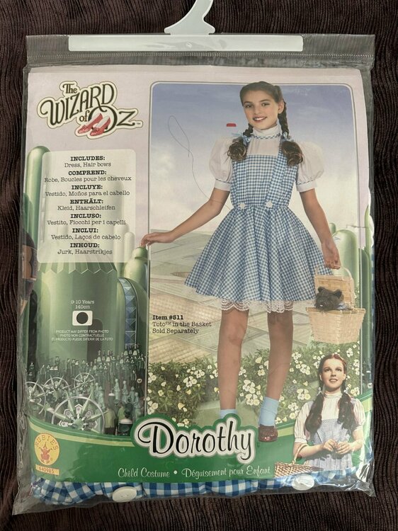 Dorothy Dress.jpg