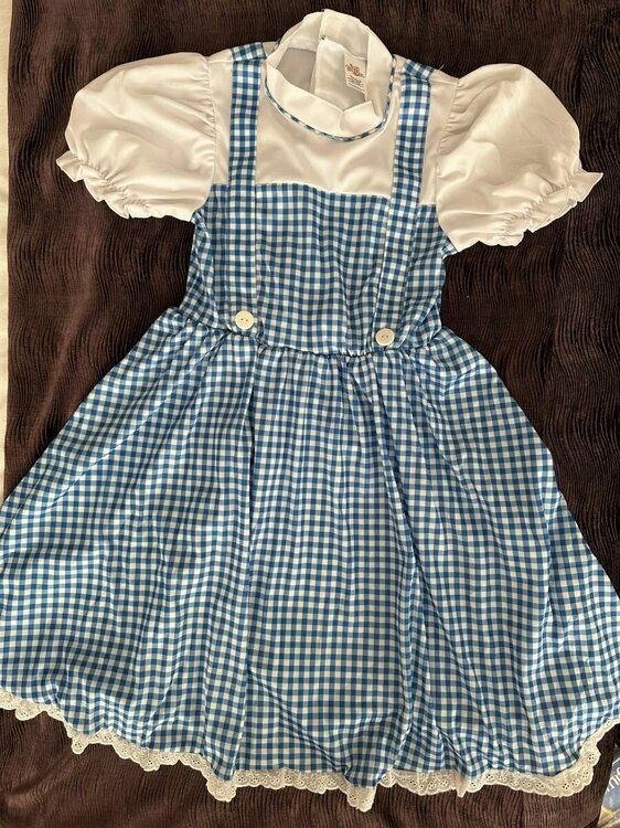 Dorothy Dress2.jpg