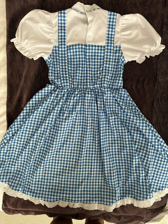 Dorothy Dress3.jpg