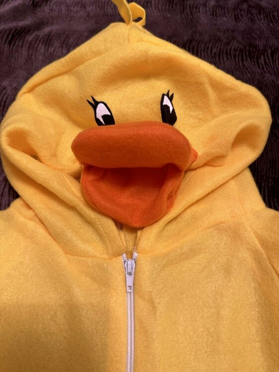 Duck Costume.jpg