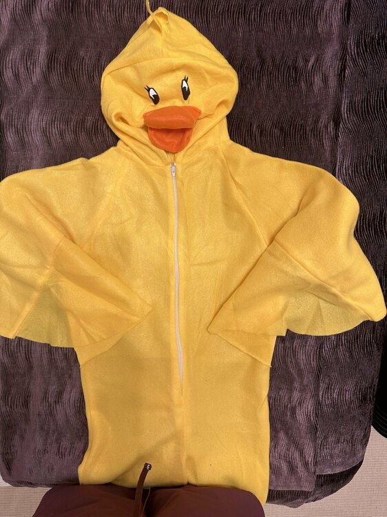 Duck Costume2.jpg