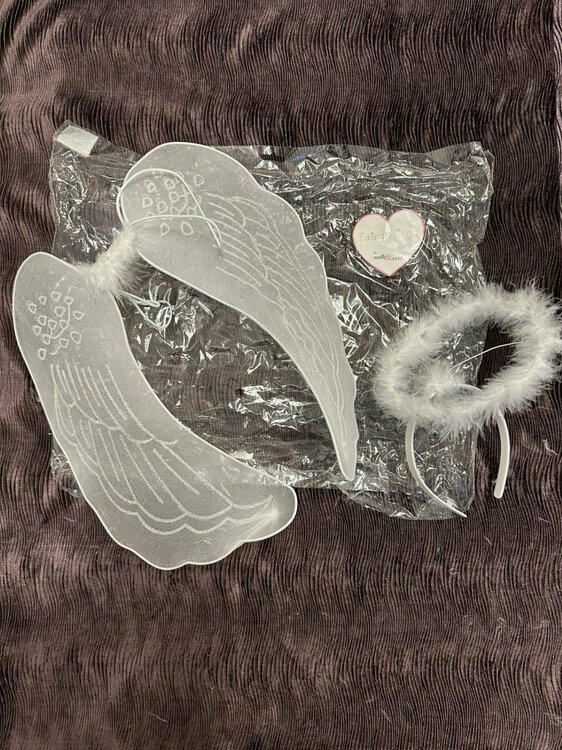 Fairy Wings + Halo.jpg