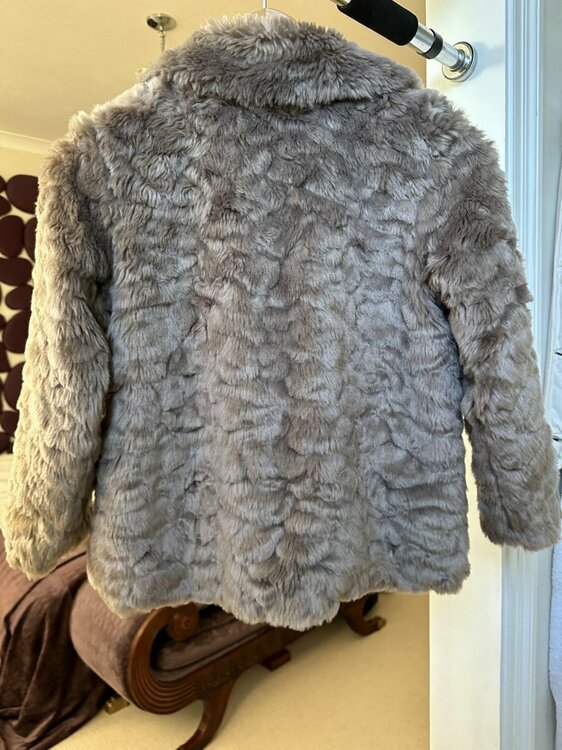 Fur Coat2.jpg