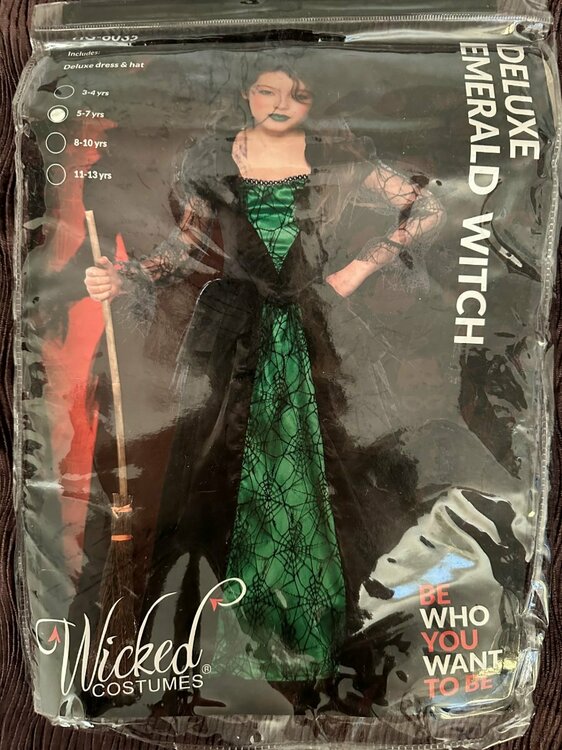 Wicked Costume2.jpg