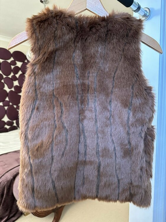 Zara Faux Fur Gilet2.jpg