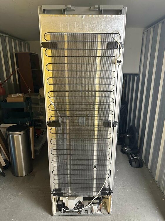 PHOTO-2023-10-12-09-48-46 8.jpg