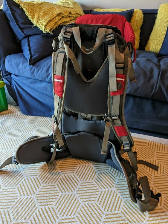 Little life back.jpeg