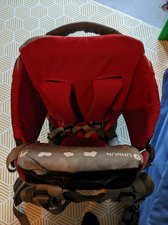 Little life straps.jpeg