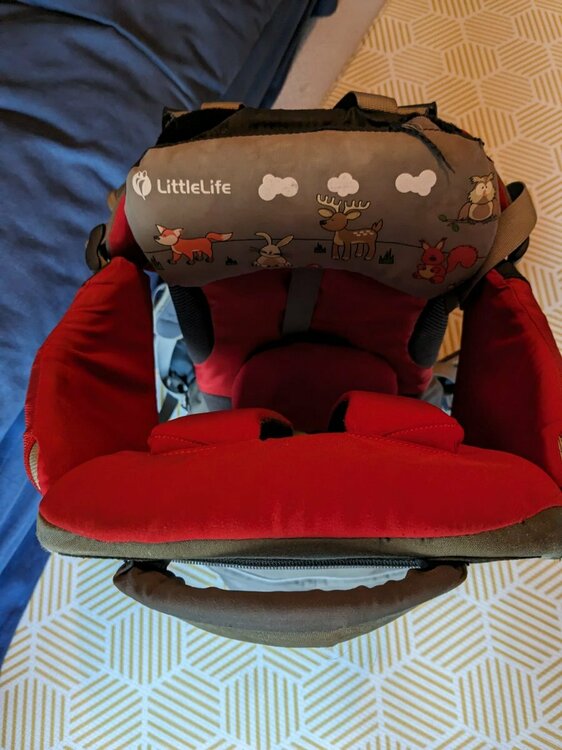 Little life top.jpeg