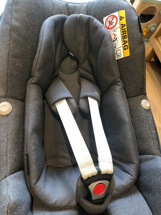 PHOTO-2023-11-20-12-35-11 7.jpg