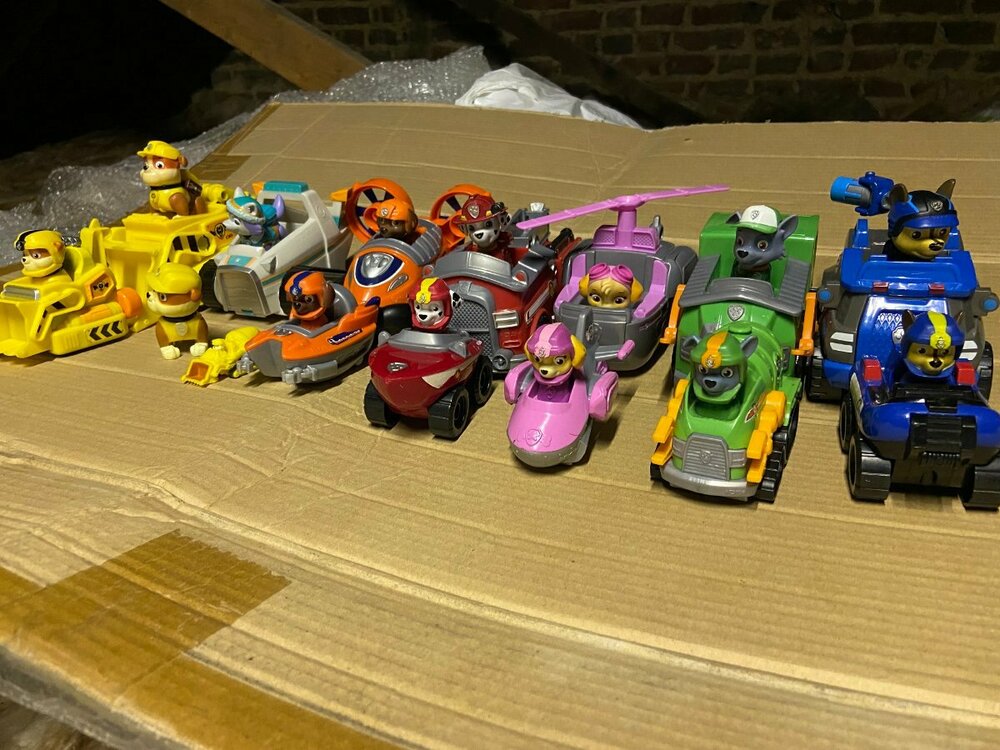 Paw Patrol 1.jpg