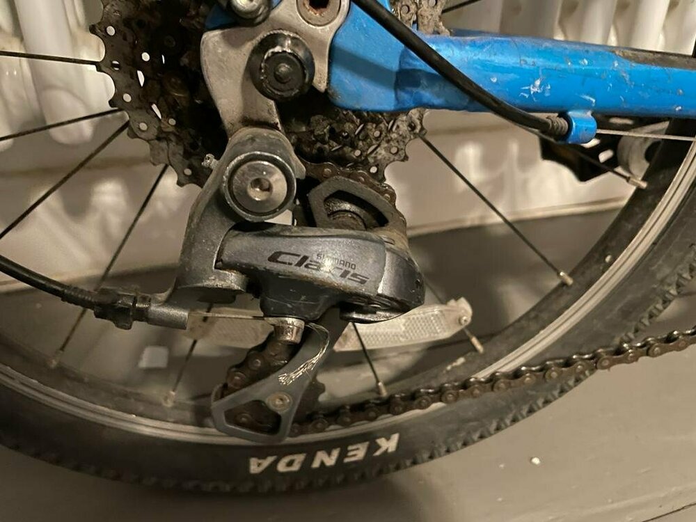 WhatsApp Image 2023-11-19 at 16.50.09.jpeg