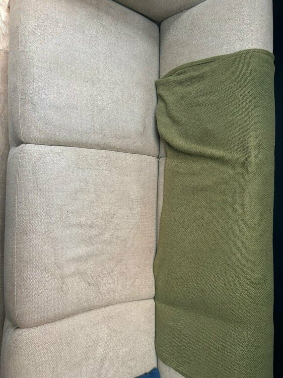 WhatsApp Image 2023-11-20 at 12.02.03.jpeg