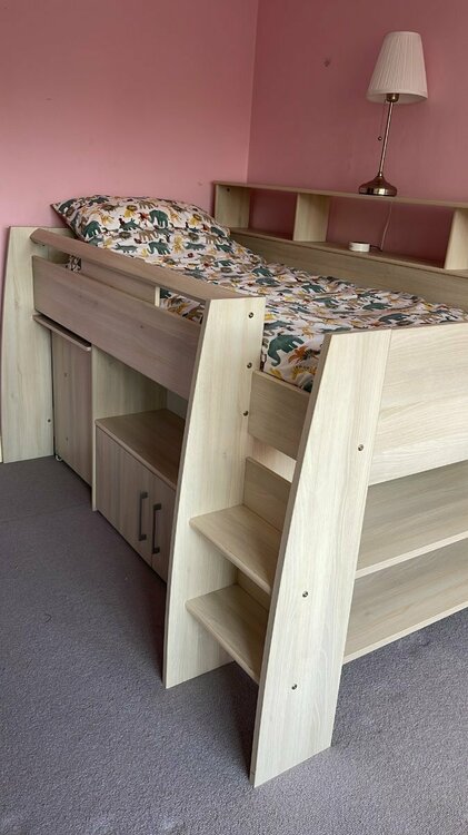 Cabin Bed with Desk & Bookshelf.jpg