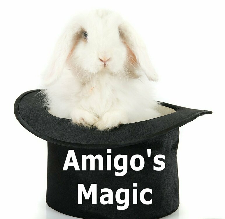 White Rabbit Logo4.jpg