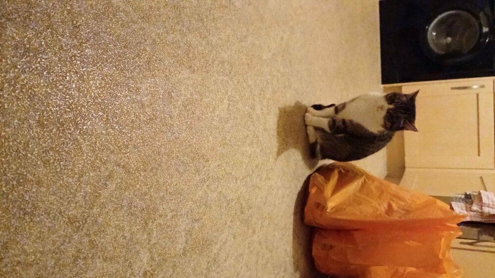 IMG-20231230-WA0006 (1).jpg