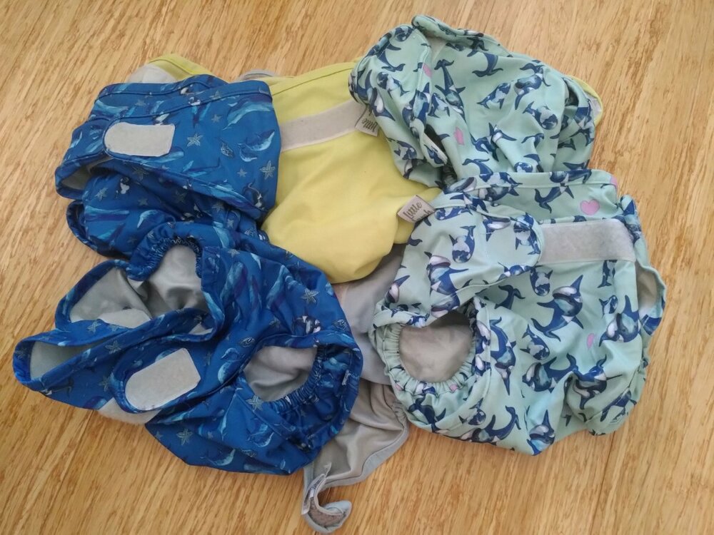 IMG_20230916_152400 smaller.jpg