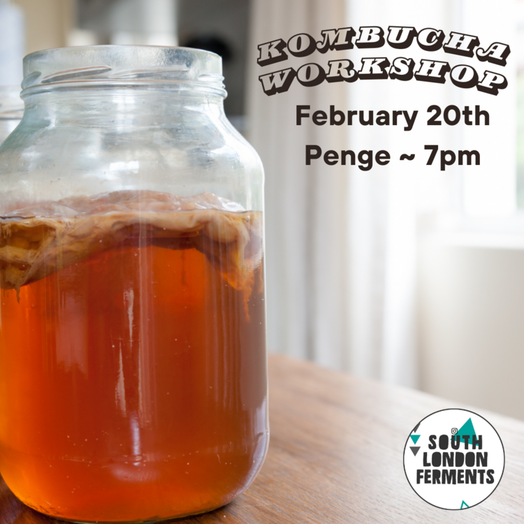 Kombucha 20 Feb.png