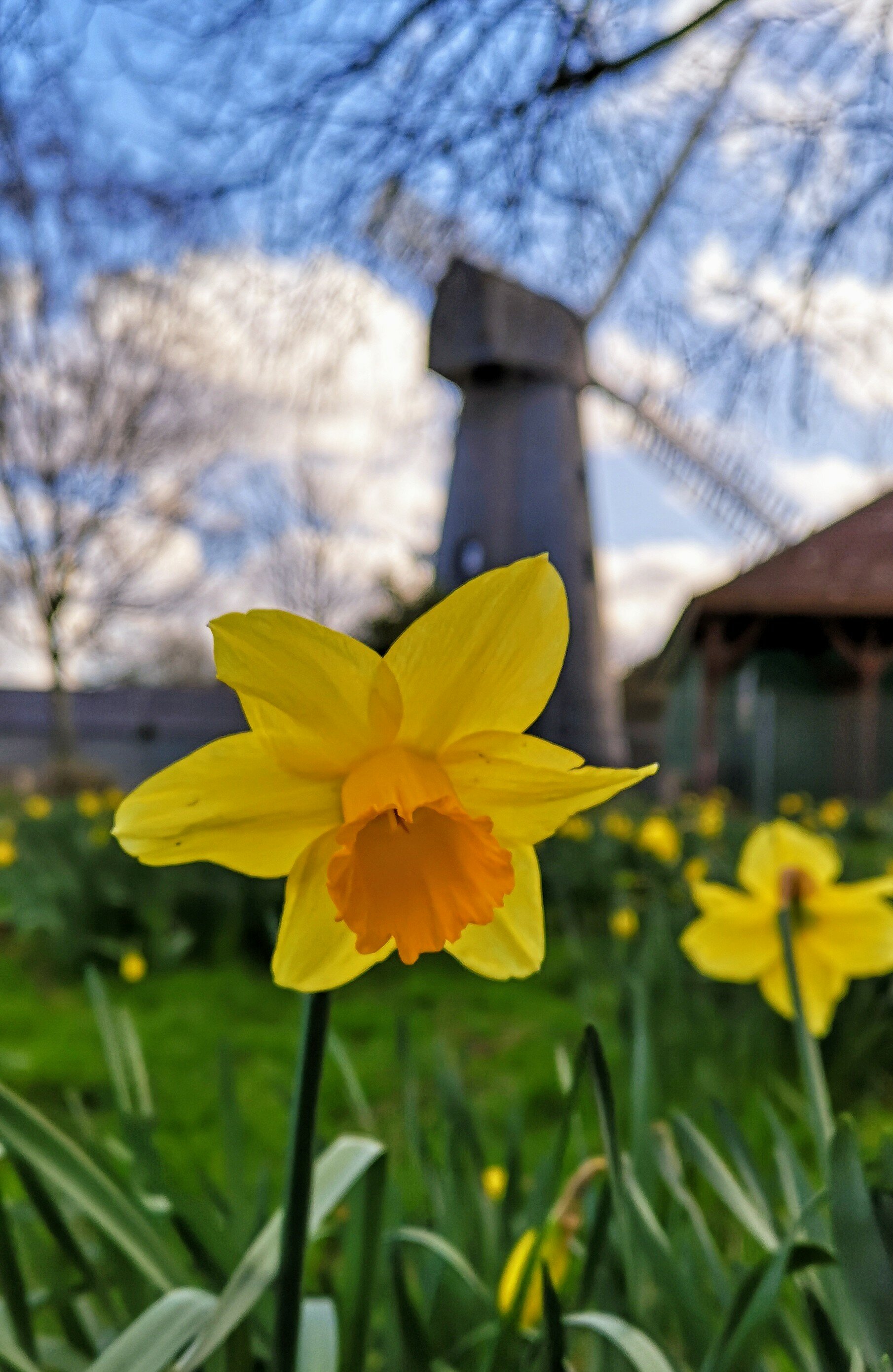 Flavours of Easter Baking Class