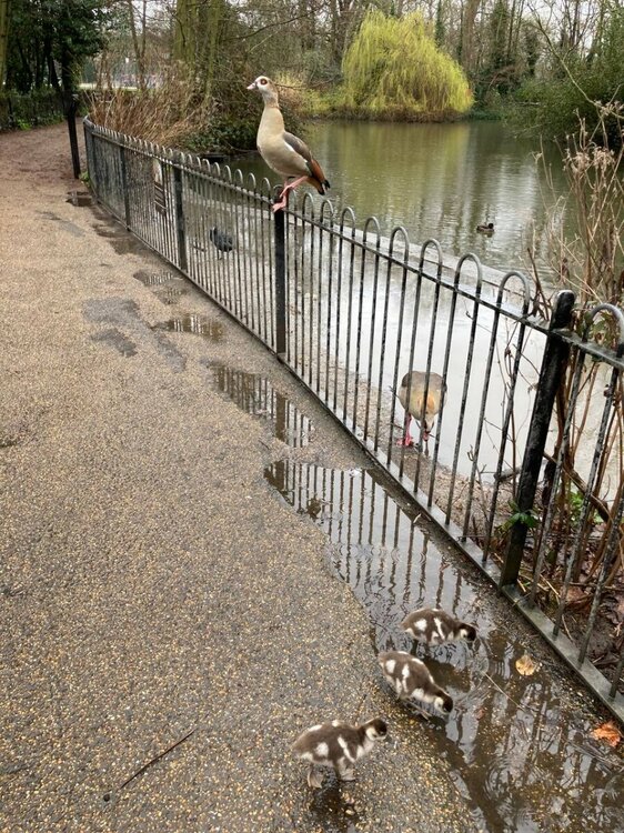 photo_2024-03-07 17.04.55.jpeg