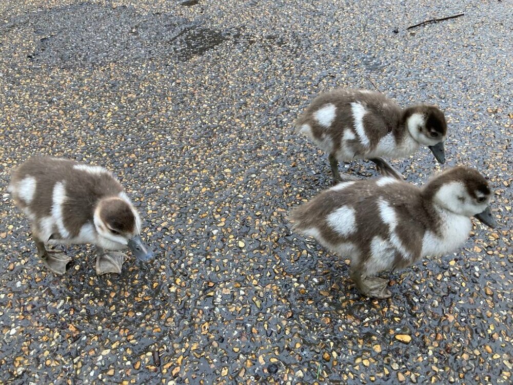 photo_2024-03-07 17.05.04.jpeg