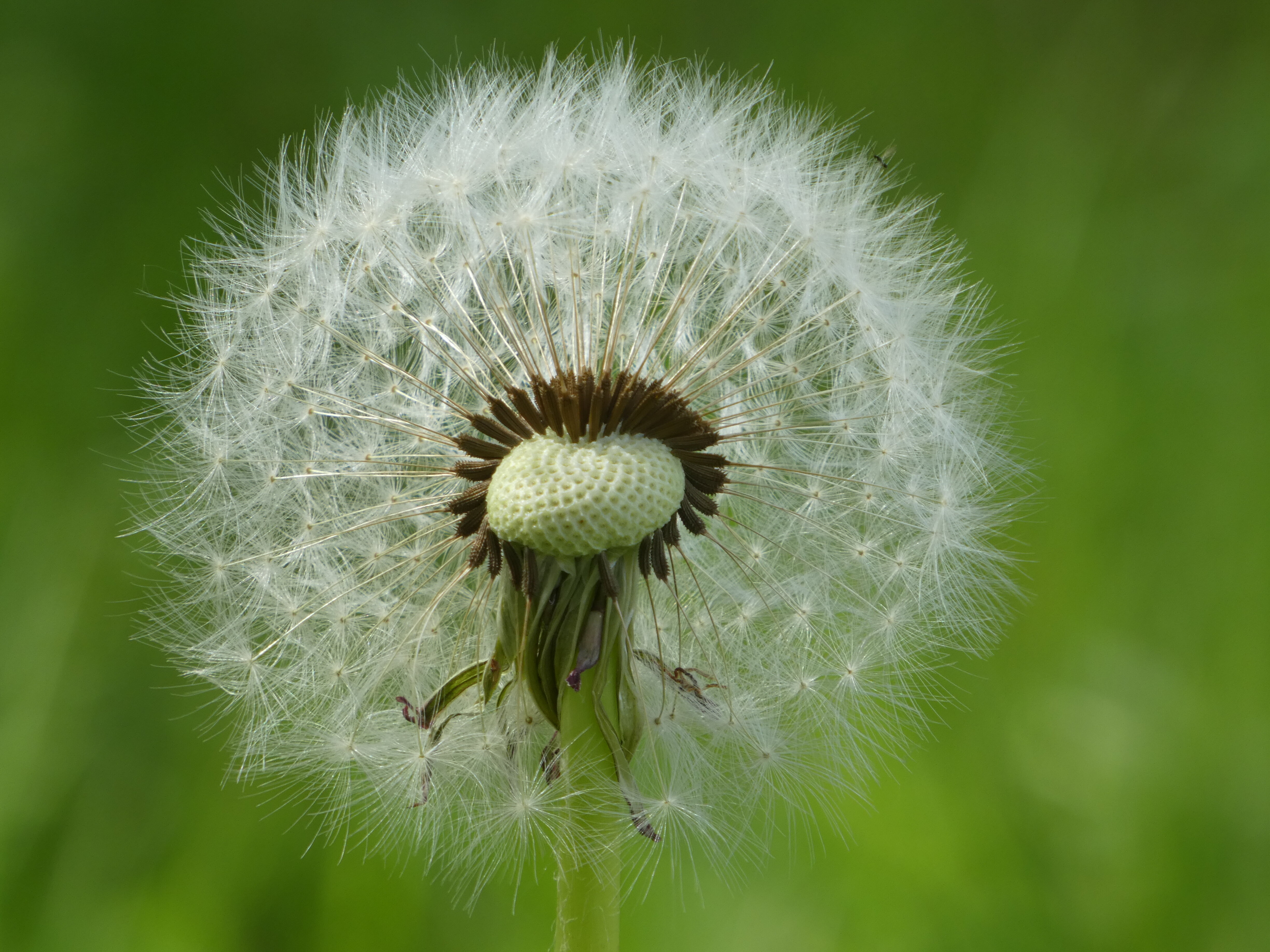 Death Matters: Planning ahead for the one thing in life we know is certain