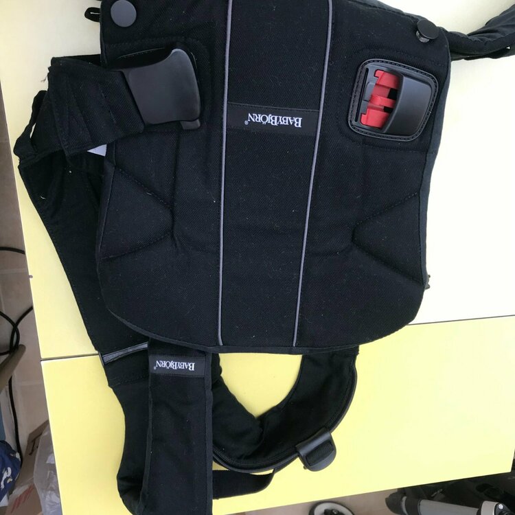 babybjorn.jpg