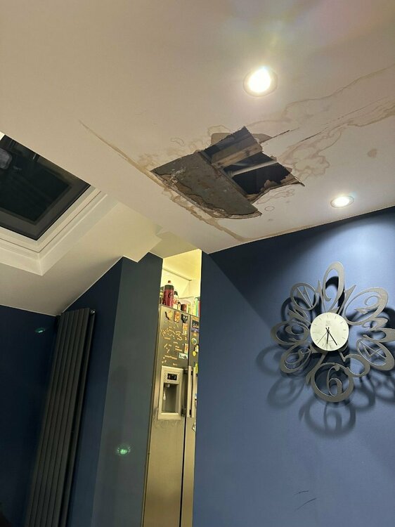 ceiling1.jpg