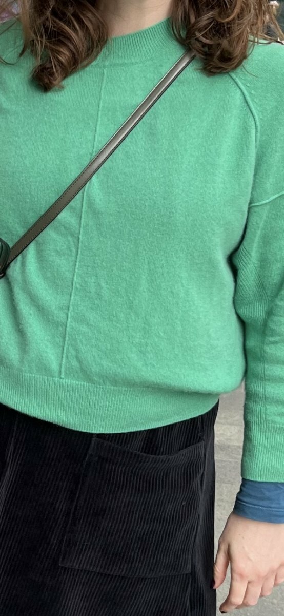 Lost favourite green jumper between Crystal Palace and Peckham/East ...