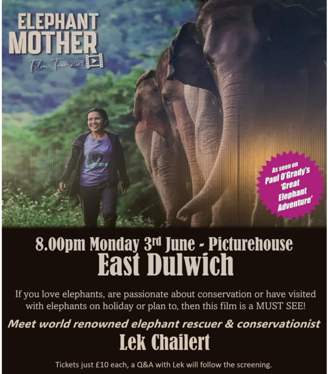 EMFT east dulwich.png