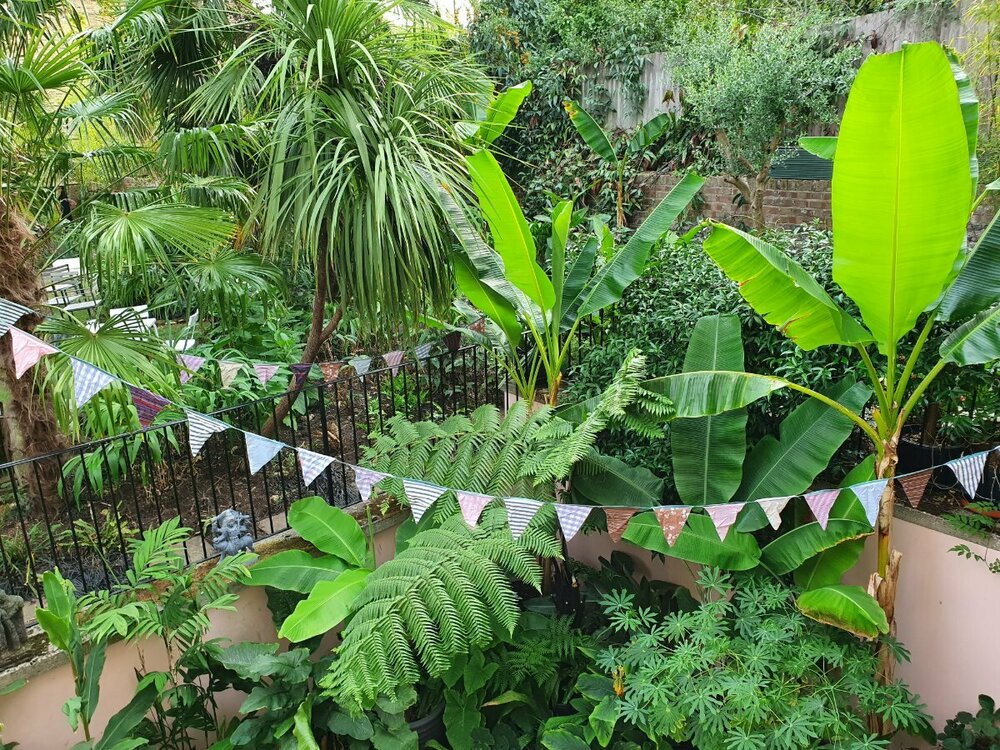 20220903_172649 (1).jpg