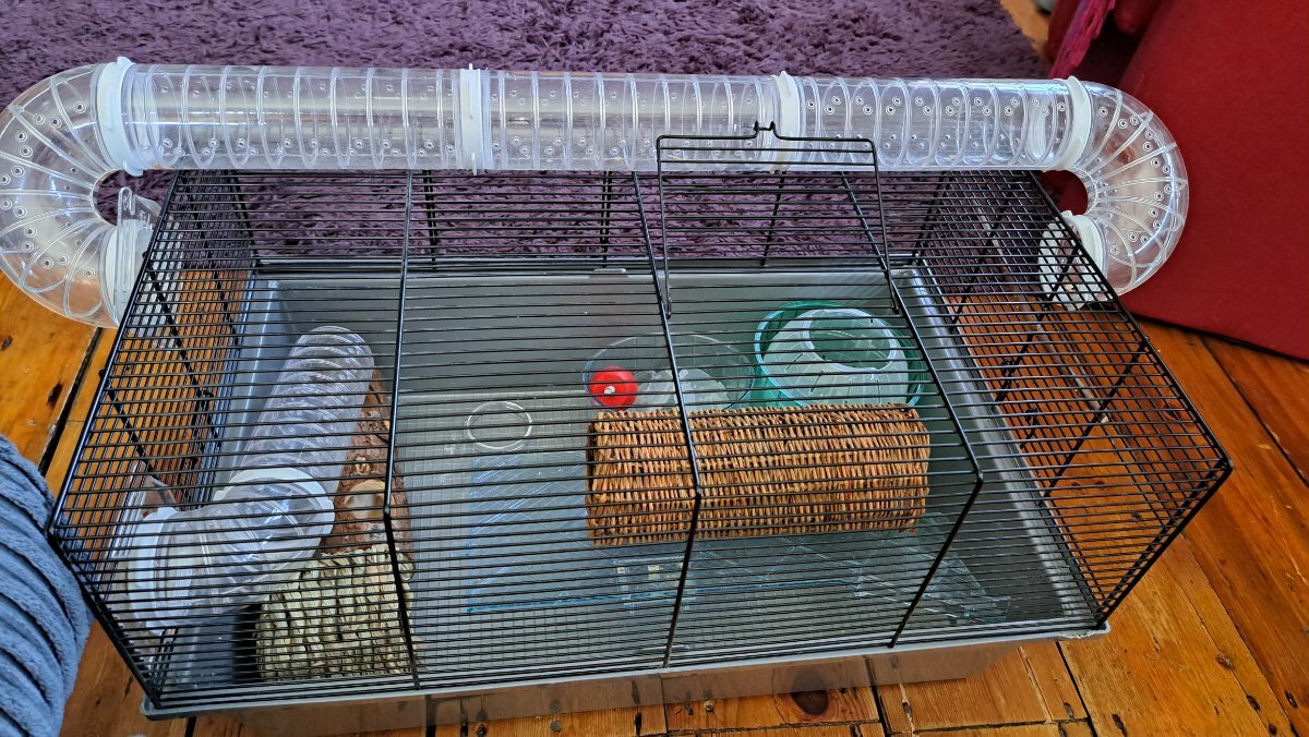 Free hamster cage and some accessories For Sale Items Offered East Dulwich Forum